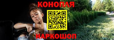 сатива Шелехов