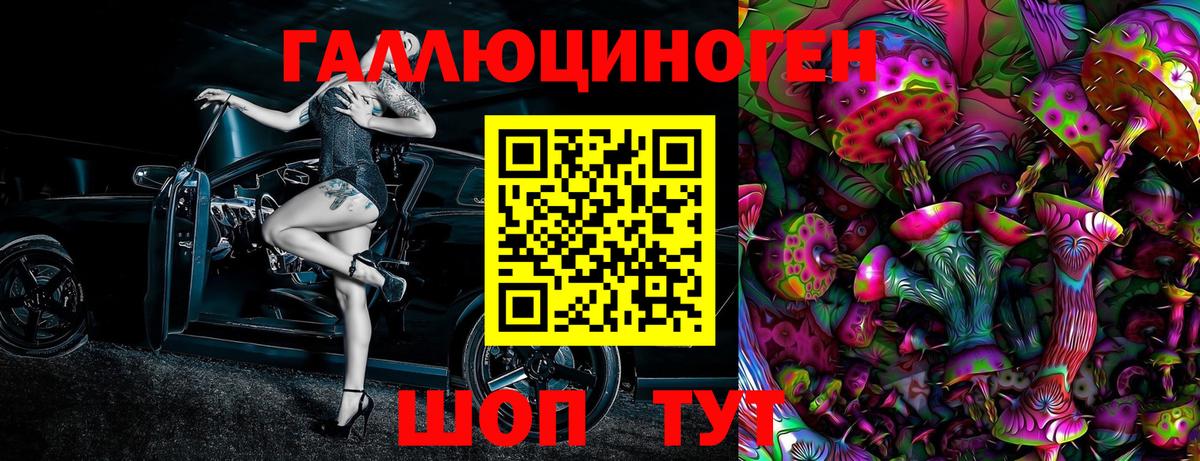 Галлюциногенные грибы Psilocybe  Вход с VPN  Элиста 